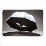 Deštníkový softbox - průsvitný 12482 | Foto video